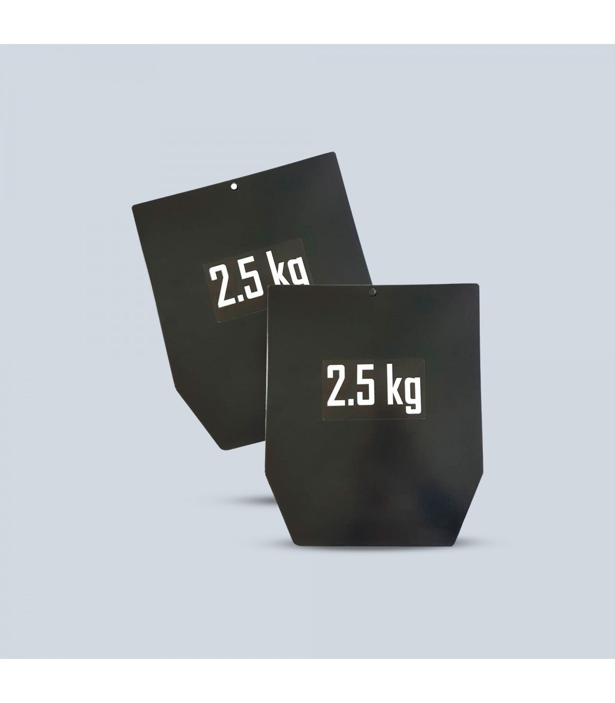 15 kg Pro Weighted Vest with Plates